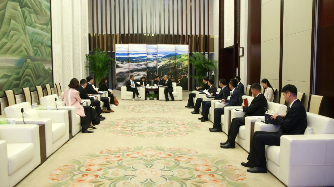 国家电投总经理栗宝卿会见国际可再生能源署总干事卡梅拉